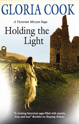 Holding the Light (Hardback)