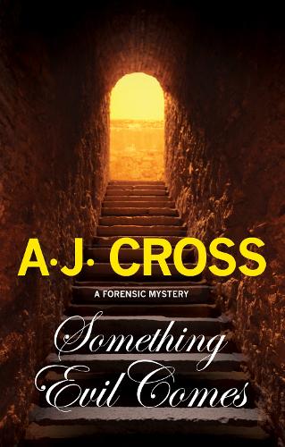 Something Evil Comes: A Forensic Mystery - Kate Hanson Mystery 4 (Hardback)
