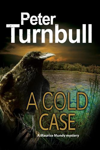 Cold Case (Hardback)