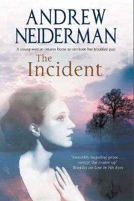 The Incident (Hardback)