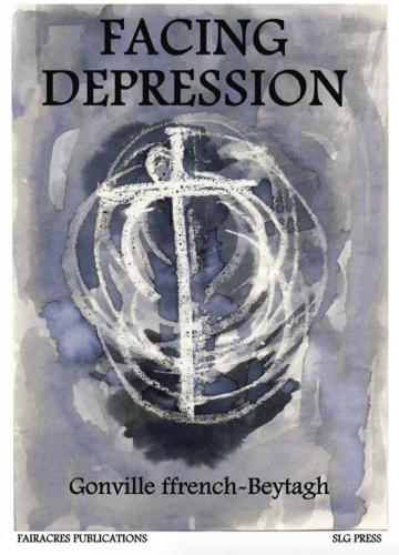 Facing Depression (Paperback)
