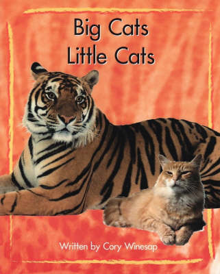 Springboard Lvl 11g: Big Cats, Little Cat (Paperback)