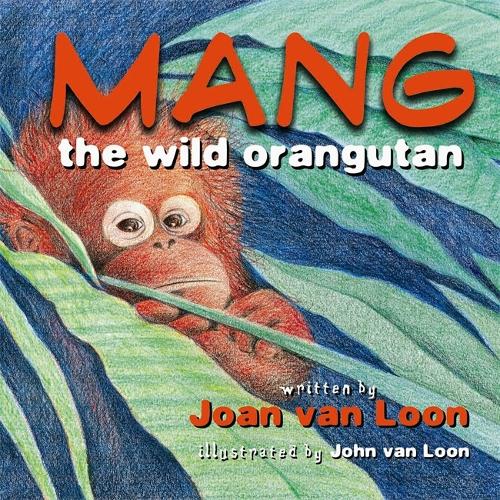 Mang the Wild Orangutan (Hardback)