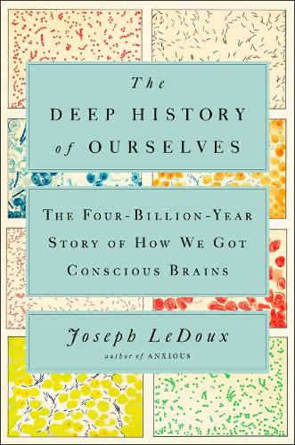 The Deep History Of Ourselves: The Four-Billion-Year Story of How We Got Conscious Brains (Hardback)
