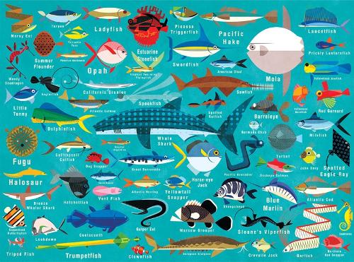 Ocean Life 1000 Piece Family Puzzle (Hardback)