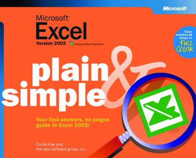 Microsoft Excel Version 2002 Plain and Simple (Paperback)