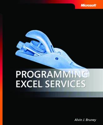 Programming Excel Services (Paperback)