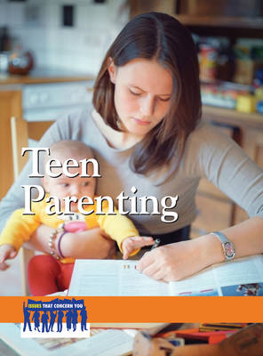 Teen Parenting - Issues That Concern You (Hardback)