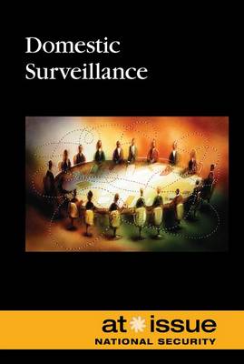 Domestic Surveillance (Paperback)