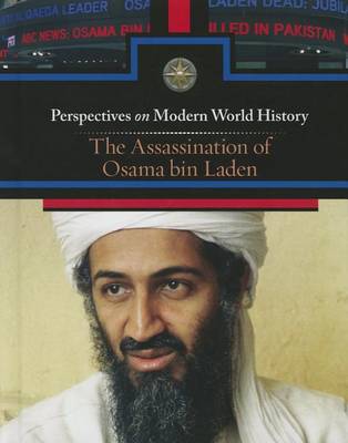 The Assassination Bin Laden - Perspectives on Modern World History (Hardback)