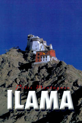 Llama (Hardback)