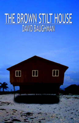The Brown Stilt House (Paperback)