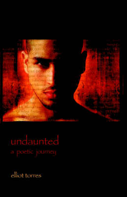 Undaunted: A Poetic Journey (Paperback)