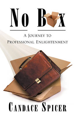 No Box: A Journey to Professional Enlightenment (Paperback)
