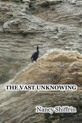 The Vast Unknowing (Paperback)