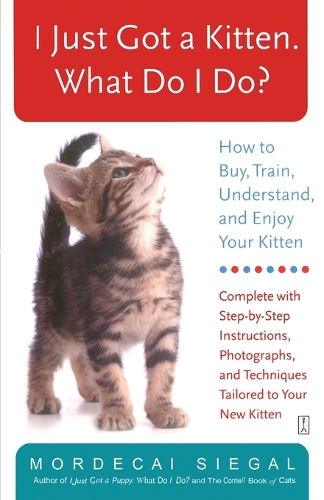 I Just Got a Kitten. What Do I Do?: How to Buy, Train, Understand, and Enjoy Your Kitten (Paperback)