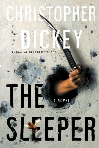 The Sleeper (Paperback)