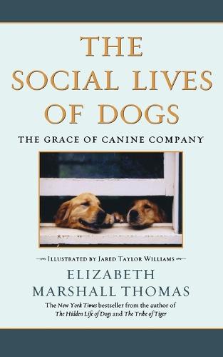 Social Lives of Dogs (Paperback)