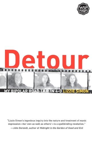 Detour: My Bipolar Road Trip in 4-D (Paperback)