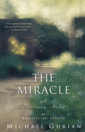 The Miracle: A Visionary Novel (Paperback)