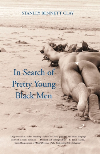 In Search Of Pretty Young Black Men (Paperback)