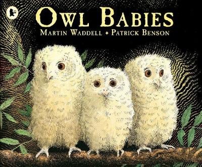 Owl Babies (Paperback)
