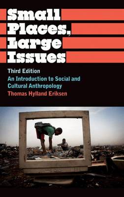 Small Places, Large Issues: An Introduction to Social and Cultural Anthropology - Anthropology, Culture and Society (Hardback)