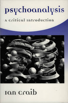 Psychoanalysis: A Critical Introduction (Paperback)