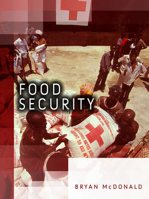 Food Security - Dimensions of Security (Hardback)