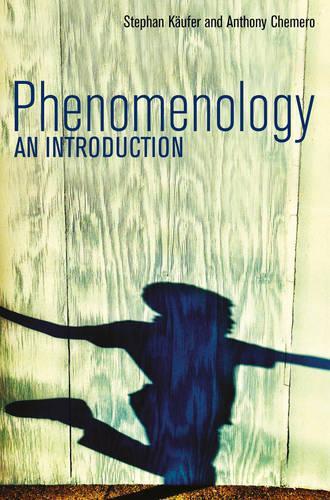 Phenomenology: An Introduction (Hardback)