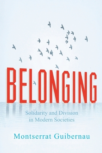 Belonging: Solidarity and Division in Modern Societies (Paperback)