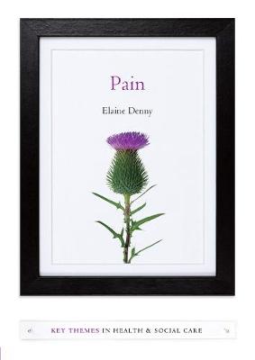Pain: A Sociological Introduction - Key Themes in Health and Social Care (Paperback)