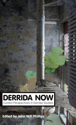 Derrida Now: Current Perspectives in Derrida Studies - Theory Now (Hardback)