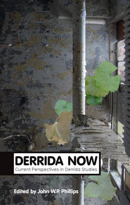 Derrida Now: Current Perspectives in Derrida Studies - Theory Now (Paperback)