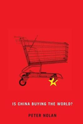 Is China Buying the World? (Paperback)