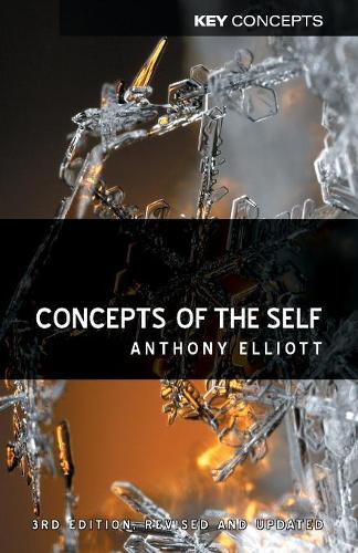 Concepts of the Self - Key Concepts (Paperback)