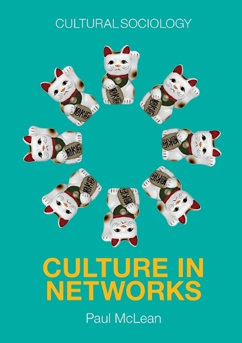 Culture in Networks - Cultural Sociology (Paperback)
