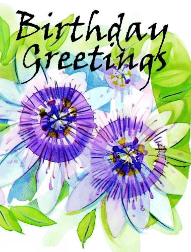 Birthday Greetings - Birthday Minis (Hardback)