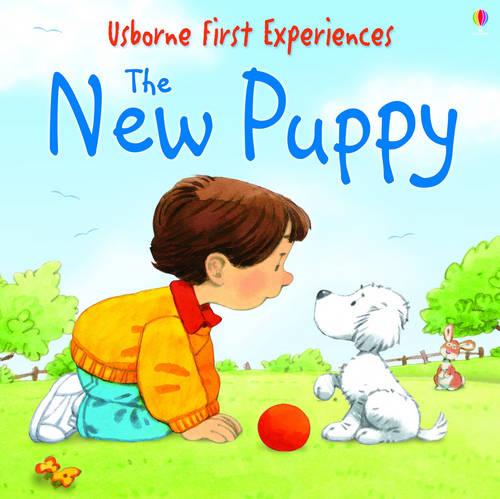 Usborne First Experiences The New Puppy - First Experiences (Paperback)