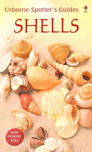 Shells - Spotter's Guide (Paperback)