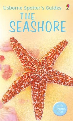 Seashore - Spotter's Guide (Paperback)