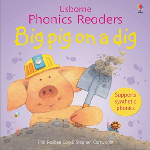Big Pig On A Dig Phonics Reader - Phonics Readers (Paperback)