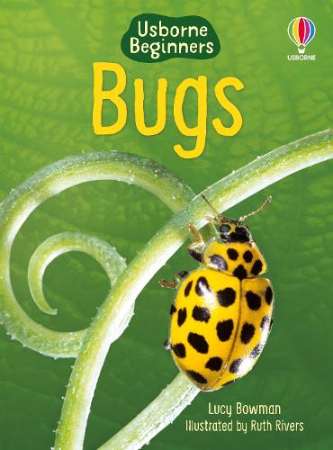 Bugs - Beginners (Hardback)