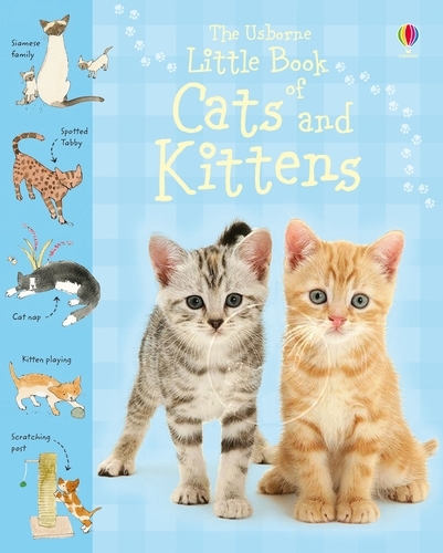 Little Book of Cats and Kittens (Hardback)