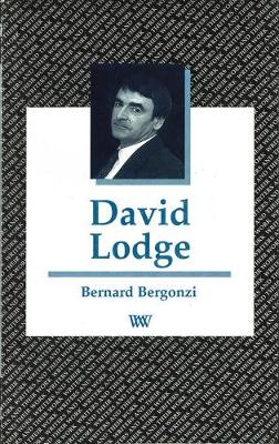 David Lodge - Writers and their Work (Paperback)