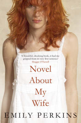Novel About My Wife (Paperback)