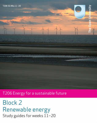 Renewable Energy (Paperback)