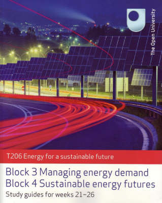 Managing Energy Demand and Sustainable Energy Futures (Paperback)