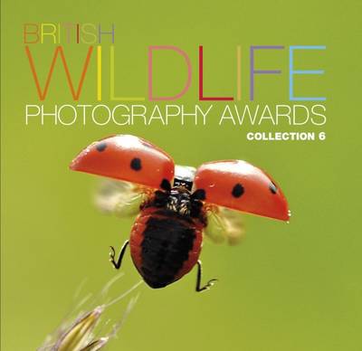 British Wildlife Photography Awards: Collection 6: Collection 6 (Hardback)