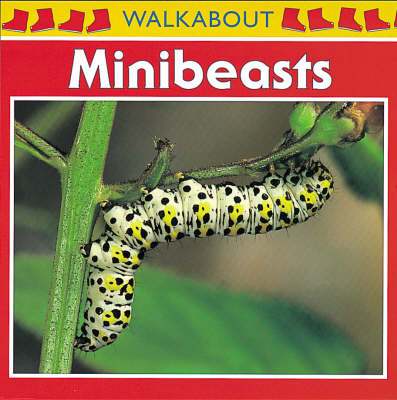Minibeasts - Walkabout (Paperback)